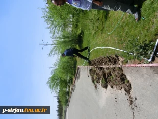 عملیات اجرای آبیاری بارانی فضای سبز ونماکاری کارگاه برق
