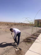 کاشت حدود 200نهال مثمر وغیر مثمر در محوطه آموزشکده