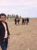 کاشت حدود 200نهال مثمر وغیر مثمر در محوطه آموزشکده