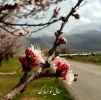 آغاز سال نو مبارک 2