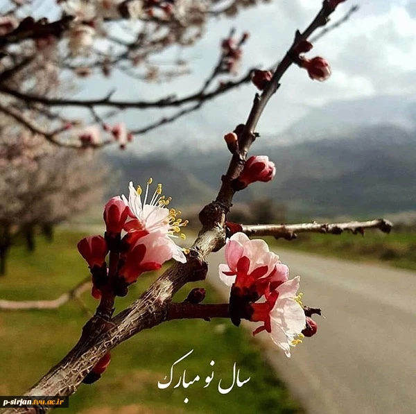 آغاز سال نو مبارک 2